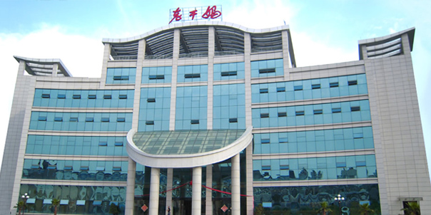 貴陽（yáng）南明老幹媽食品有限責（zé）任（rèn）公司