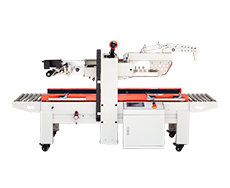 DFXZ3030I迷(mí)你折蓋封箱貼標一體機