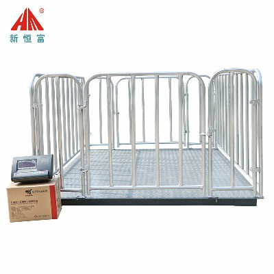 地磅秤（chèng）